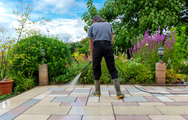 Best Driveway Pressure Washing  in Shawnee, KS